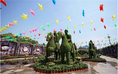 呼和浩特70年大庆菊花展